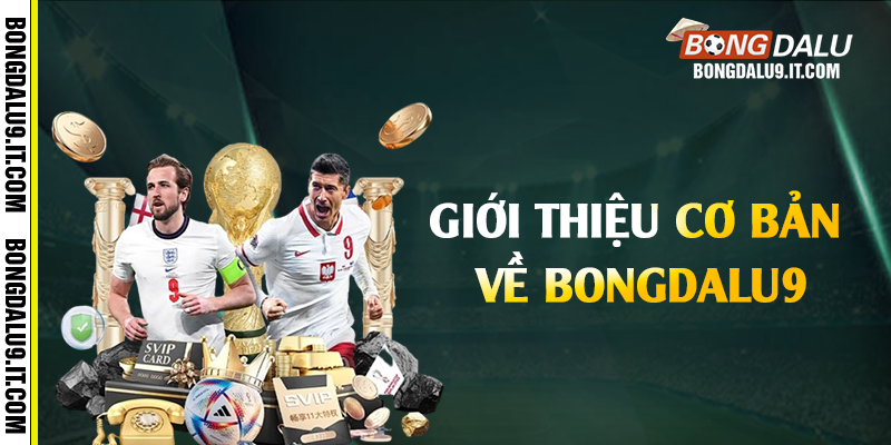 Giới thiệu cơ bản về Bongdalu9