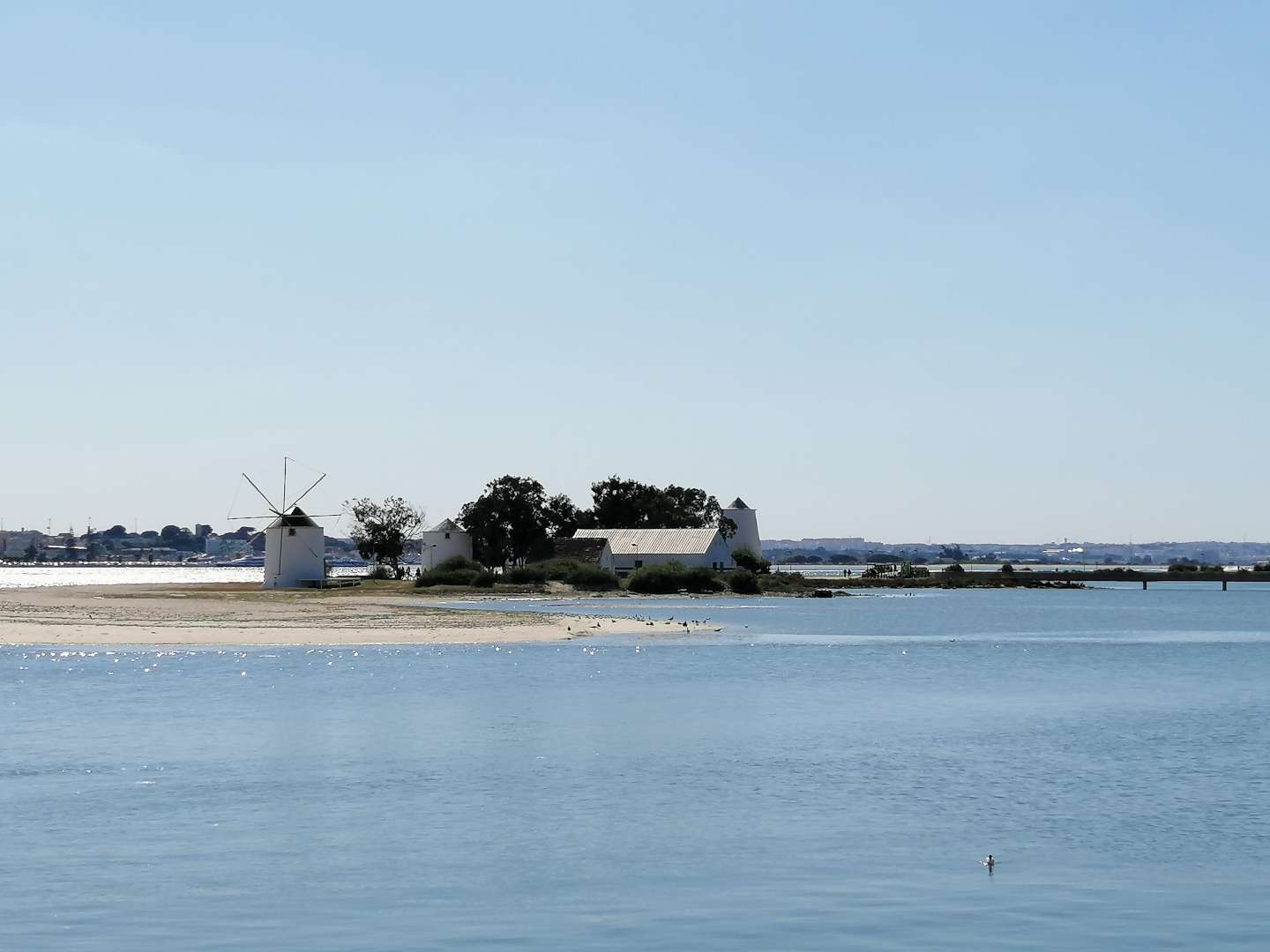 Molinos en la costa de Barreiro en un día despejado.